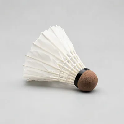 shuttlecock
